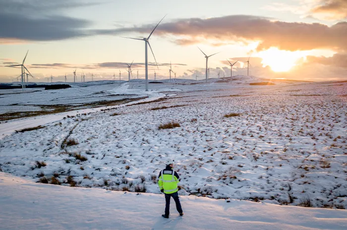 Wind farm on a snowy day.